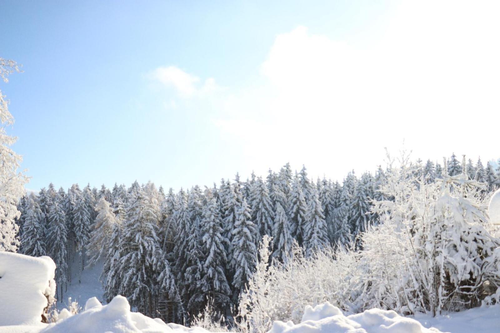 Ferienwohnung Riedbach インスブルック エクステリア 写真